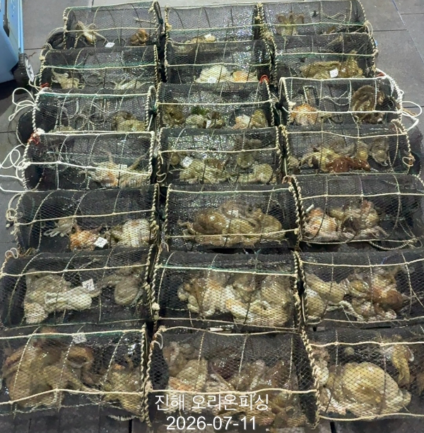 KakaoTalk_20260712_062457573.jpg