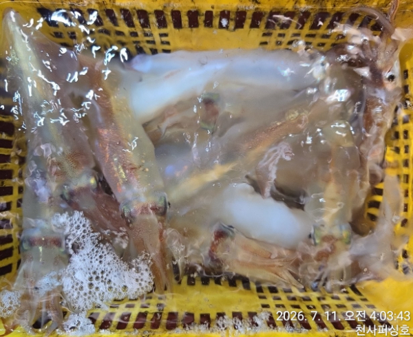 1004피싱_사진_20260711_15.jpg