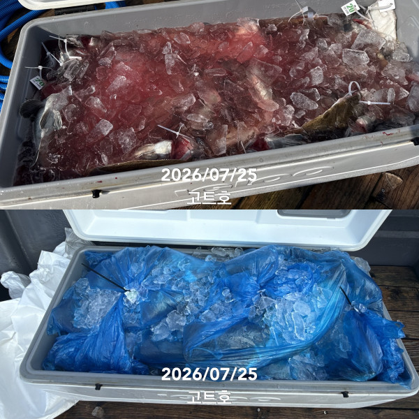 B51B56CB-98B9-45D4-B925-FC32AF5D75F4.jpeg