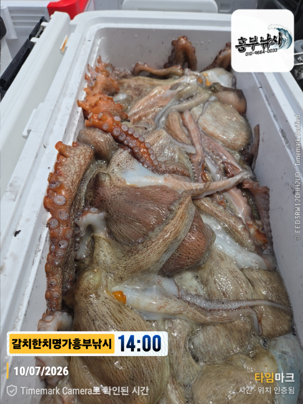 2026-07-10 14.00.14__(제목-갈치한치명가흥부낚시).jpg