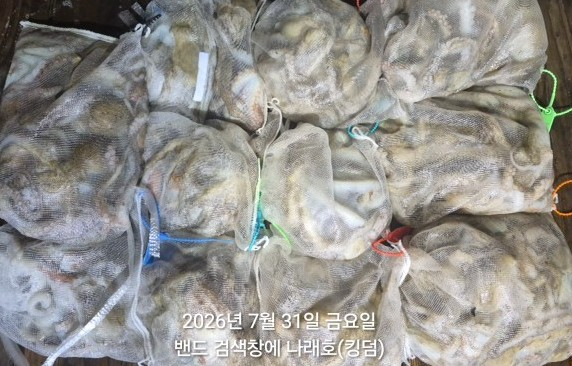 KakaoTalk_20260731_022209271.jpg