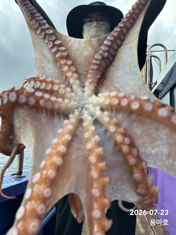 IMG_6072.jpeg