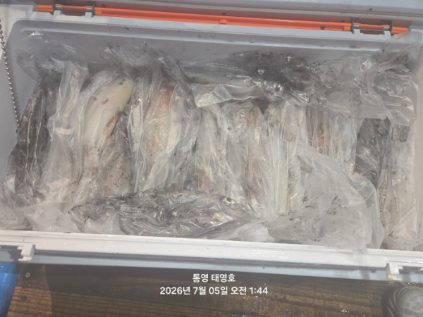 KakaoTalk_20260705_065358279_23.jpg