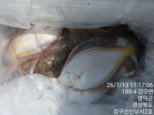 신신낚시 강구점 신신호_사진_20260713_16.jpg