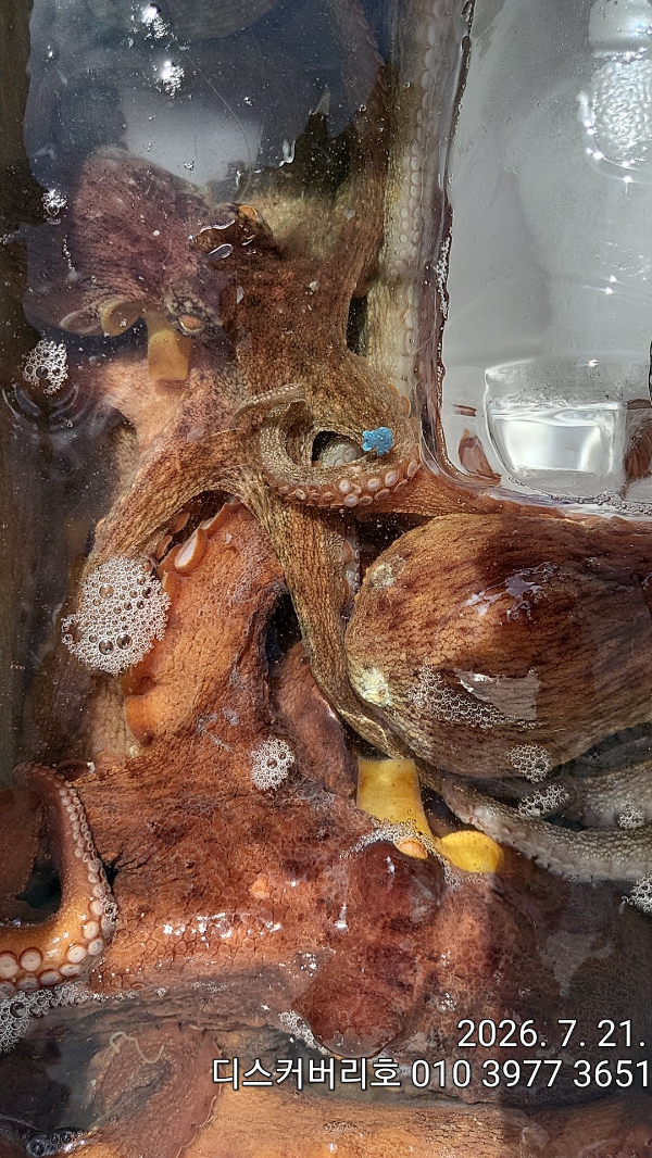 1000026180.jpg