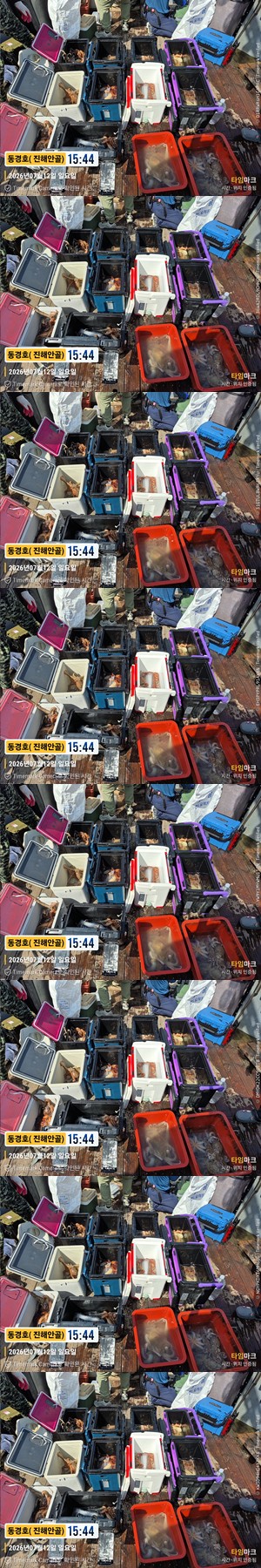 돌문어 26-7-12-1.jpg