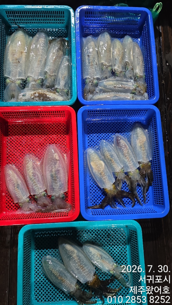 제주왔어호_사진_20260730_11.jpg