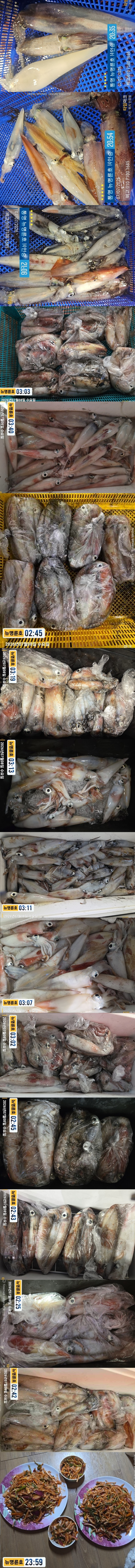 7-8한치2.jpg