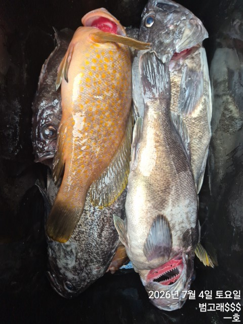 KakaoTalk_20260704_161447923_04.jpg