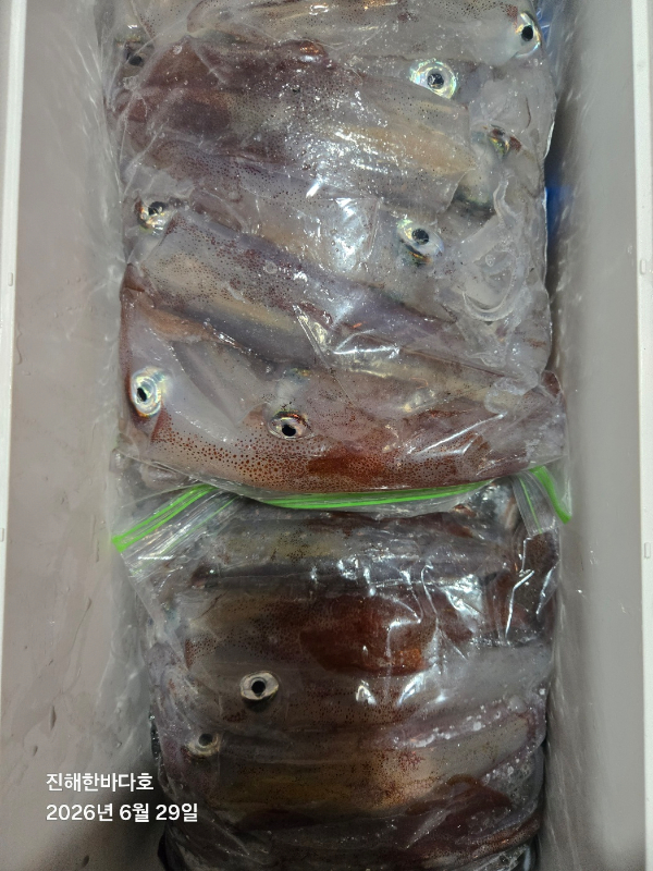 KakaoTalk_20260629_132805833_05.jpg