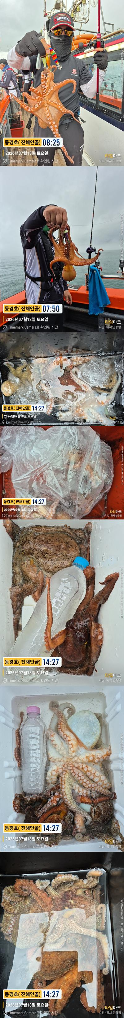 돌문어 26-7-18-5.jpg