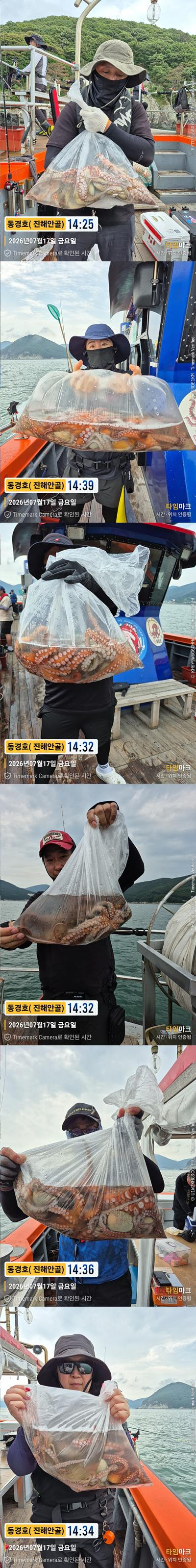 돌문어 26-7-17-3.jpg