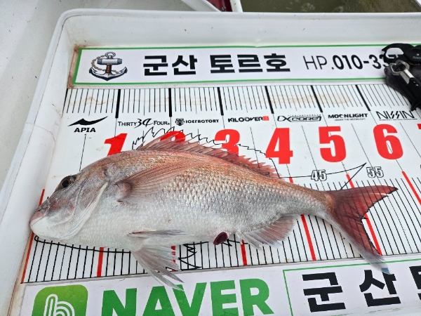 KakaoTalk_20260704_193727637_05.jpg