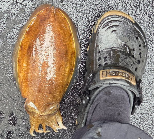 20149.jpg
