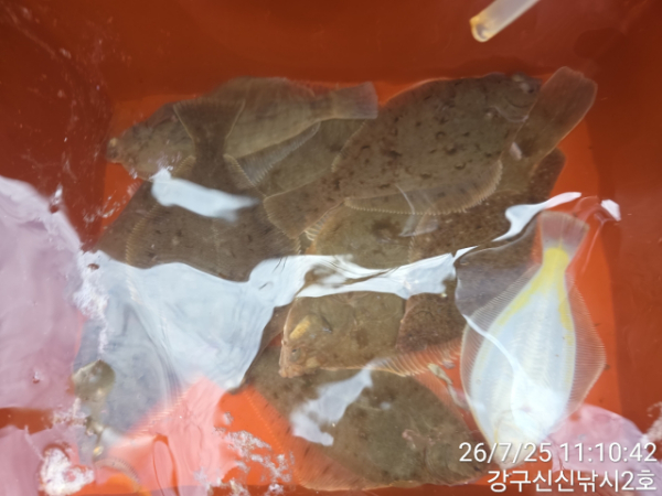 신신낚시 강구점 신신호_사진_20260725_9.jpg