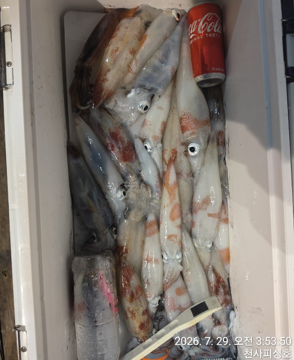 1004피싱_사진_20260729_8.jpg