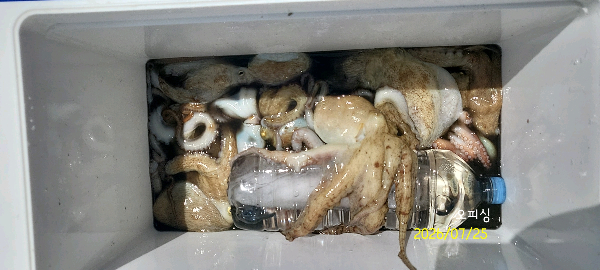 DateCamera0725133451.jpg