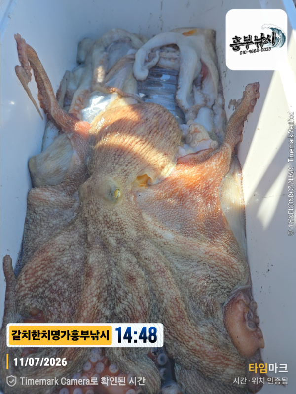 2026-07-11 14.48.38__(제목-갈치한치명가흥부낚시).jpg
