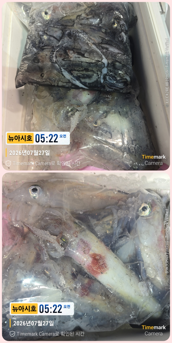 KakaoTalk_20260727_085119965_08-down.jpg
