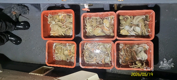 DateCamera0519222501.jpg