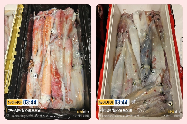 KakaoTalk_20260725_063418583_03-side.jpg