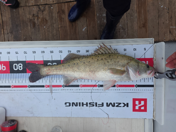 Resized_20260710_133104.jpeg