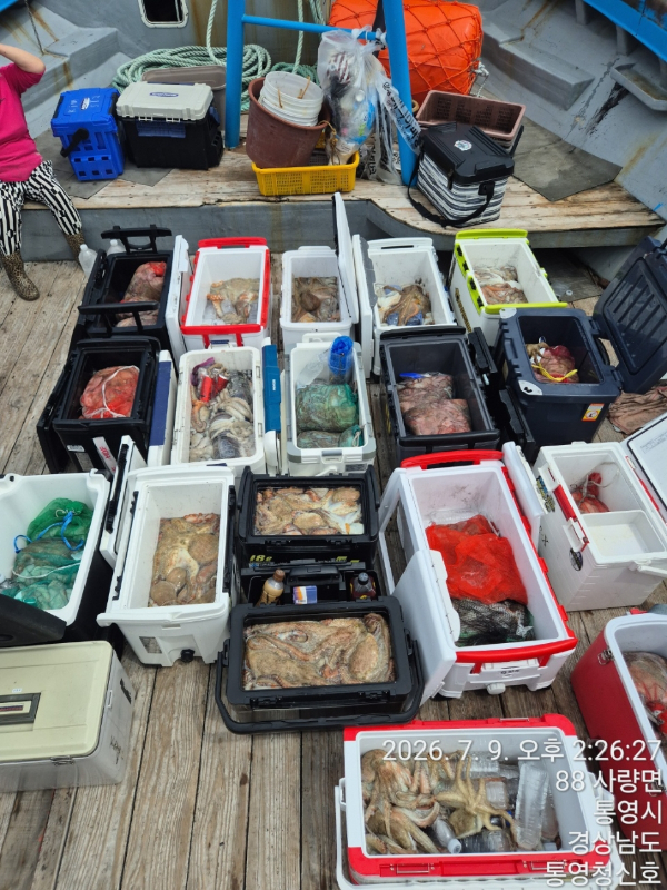 통영청신호입니다_사진_20260709_30.jpg