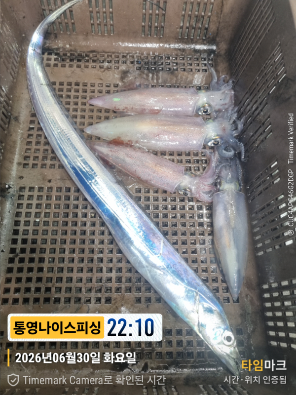 2026-06-30 22.10.57__(제목-통영나이스피싱).jpg