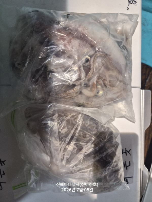 신아라호 한치 칼치 오징어_사진_20260705_8.jpg