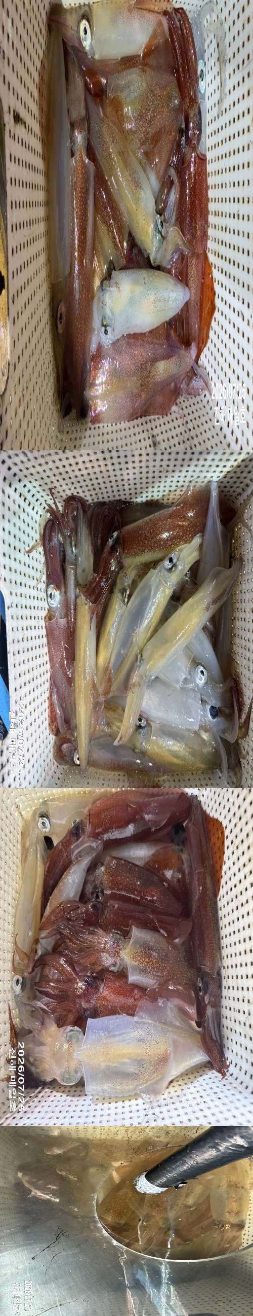 왕한치2.jpg