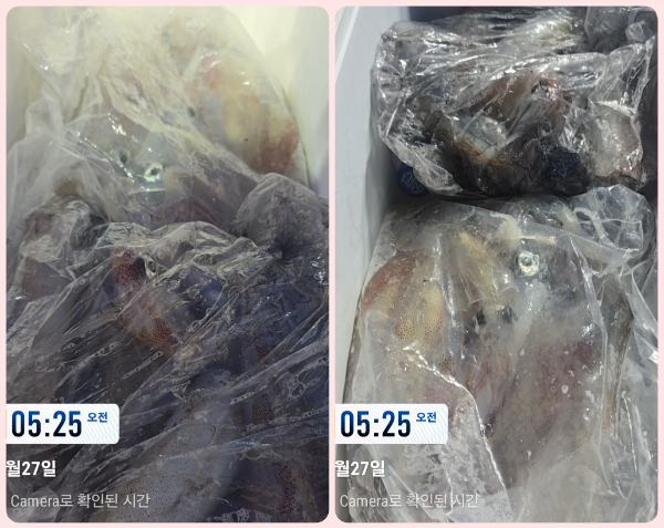 KakaoTalk_20260727_085119965-tile.jpg