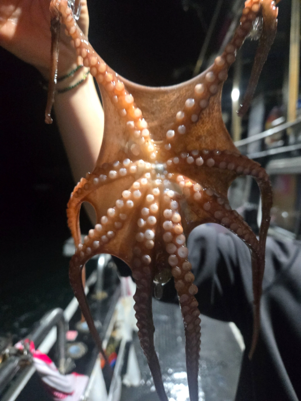 BandPhoto_2026_07_29_21_54_17_4.jpg