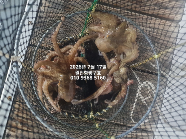 KakaoTalk_20260717_024455612_01.jpg