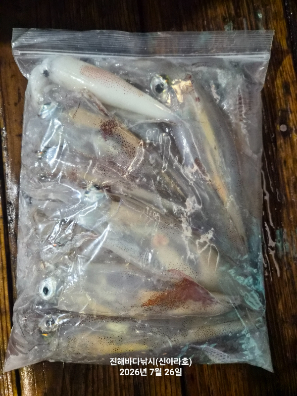 신아라호 한치 칼치 오징어_사진_20260726_16.jpg