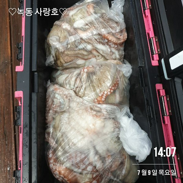 3067.jpg