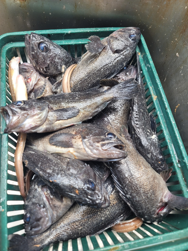 1000104367.jpg