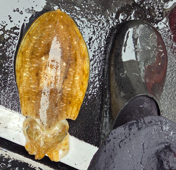 19887.jpg