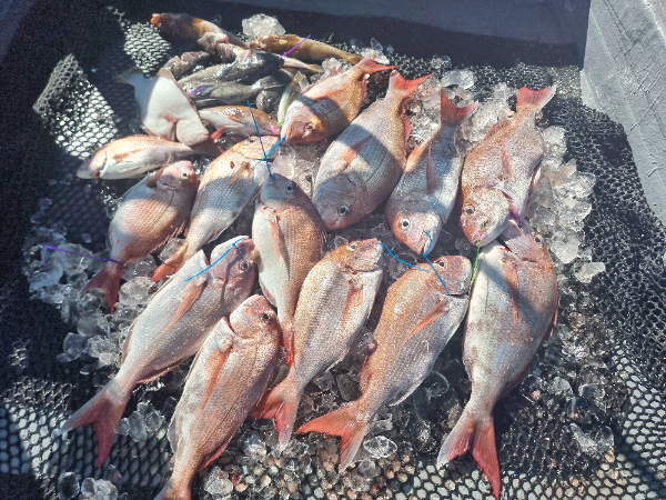 KakaoTalk_20260730_172933386.jpg