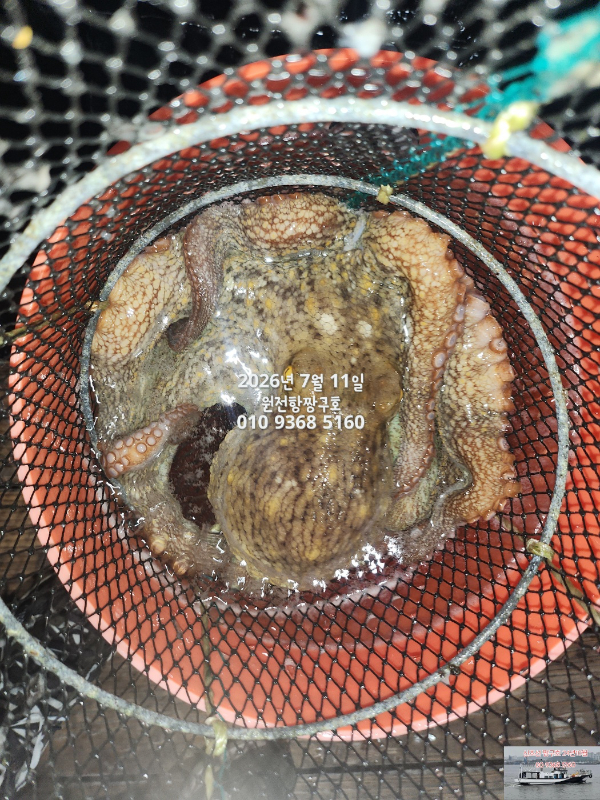 KakaoTalk_20260712_105058352_04 - 복사본.jpg