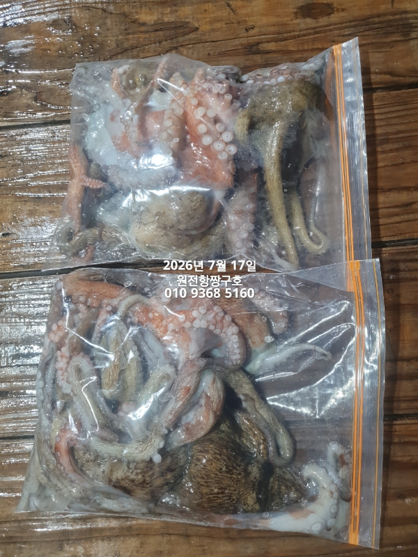 KakaoTalk_20260717_024404082.jpg