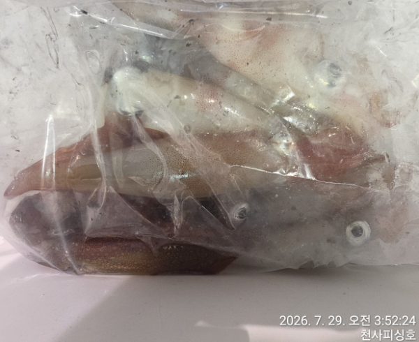1004피싱_사진_20260729_13.jpg