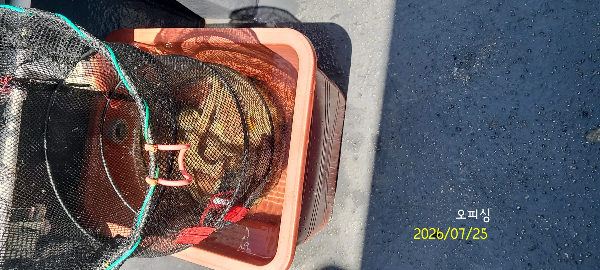 DateCamera0725131935.jpg