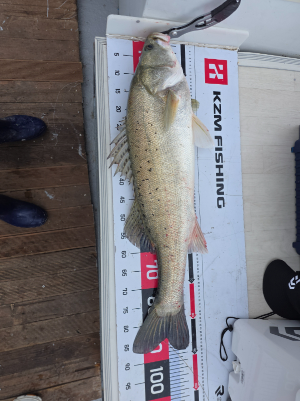 Resized_20260710_101754.jpeg