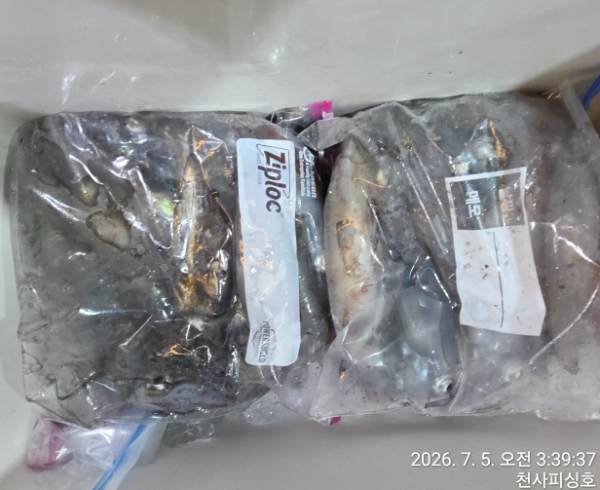 1004피싱_사진_20260705_3.jpg