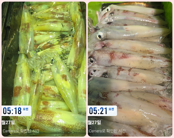 KakaoTalk_20260727_085119965_06-tile.jpg
