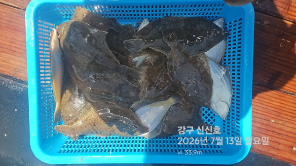 신신낚시 강구점 신신호_사진_20260713_7.jpg