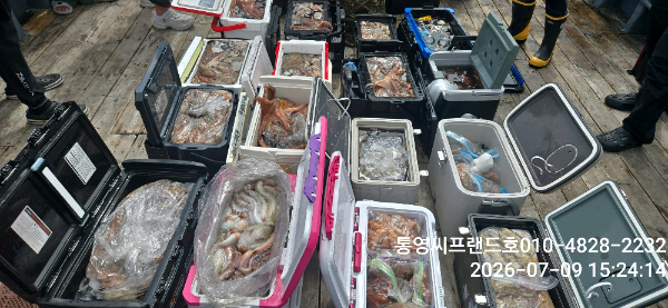 1783581697429.jpg