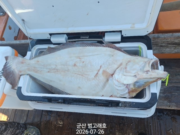 KakaoTalk_20260726_144651938_11.jpg