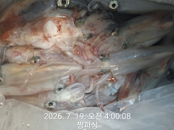1000080525.jpg