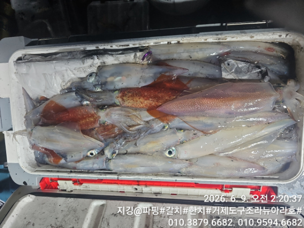 거제도 구조라  뉴아라호 (지깅, 파핑,한치,갈치,타이바라 전문)_사진_20260610_15.jpg